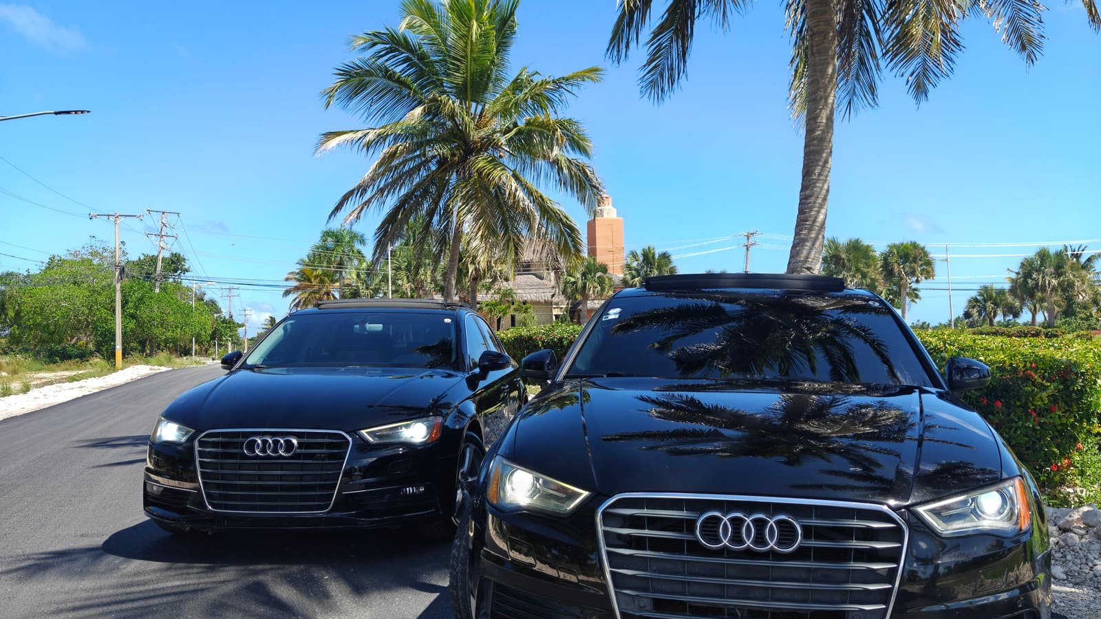 Alquiler de vehículos en República Dominicana: los dos Audi A3 negros de Grupo Fullequipe bajo una palmera en Punta Cana